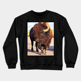 American Bison Crewneck Sweatshirt